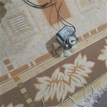 موتور