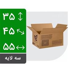 کارتن