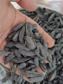 تخمه