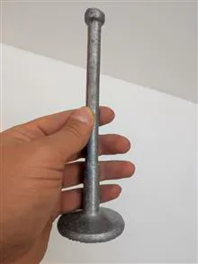 گوشت