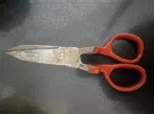 قیچی