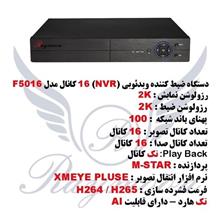 ضبط