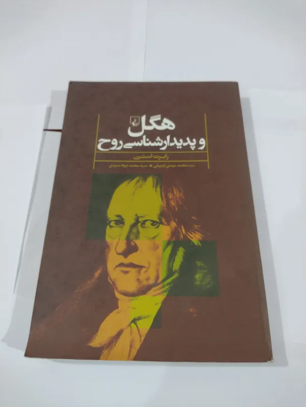هگل و پدیدار شناسی روح