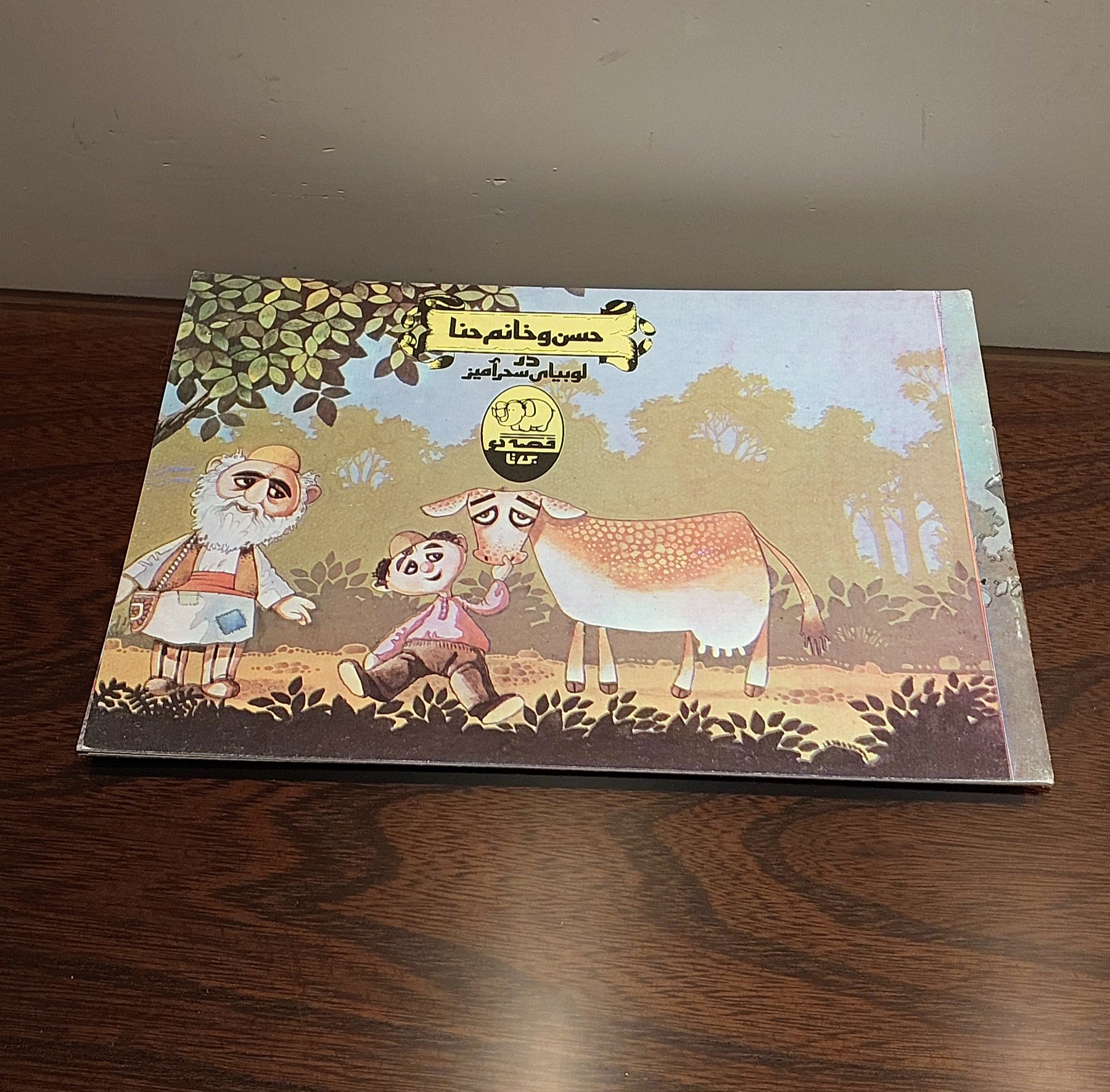 کتاب حسن و خانم حنا سایز کوچک قصه گو
