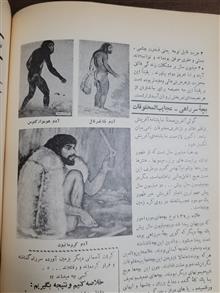 آدمها