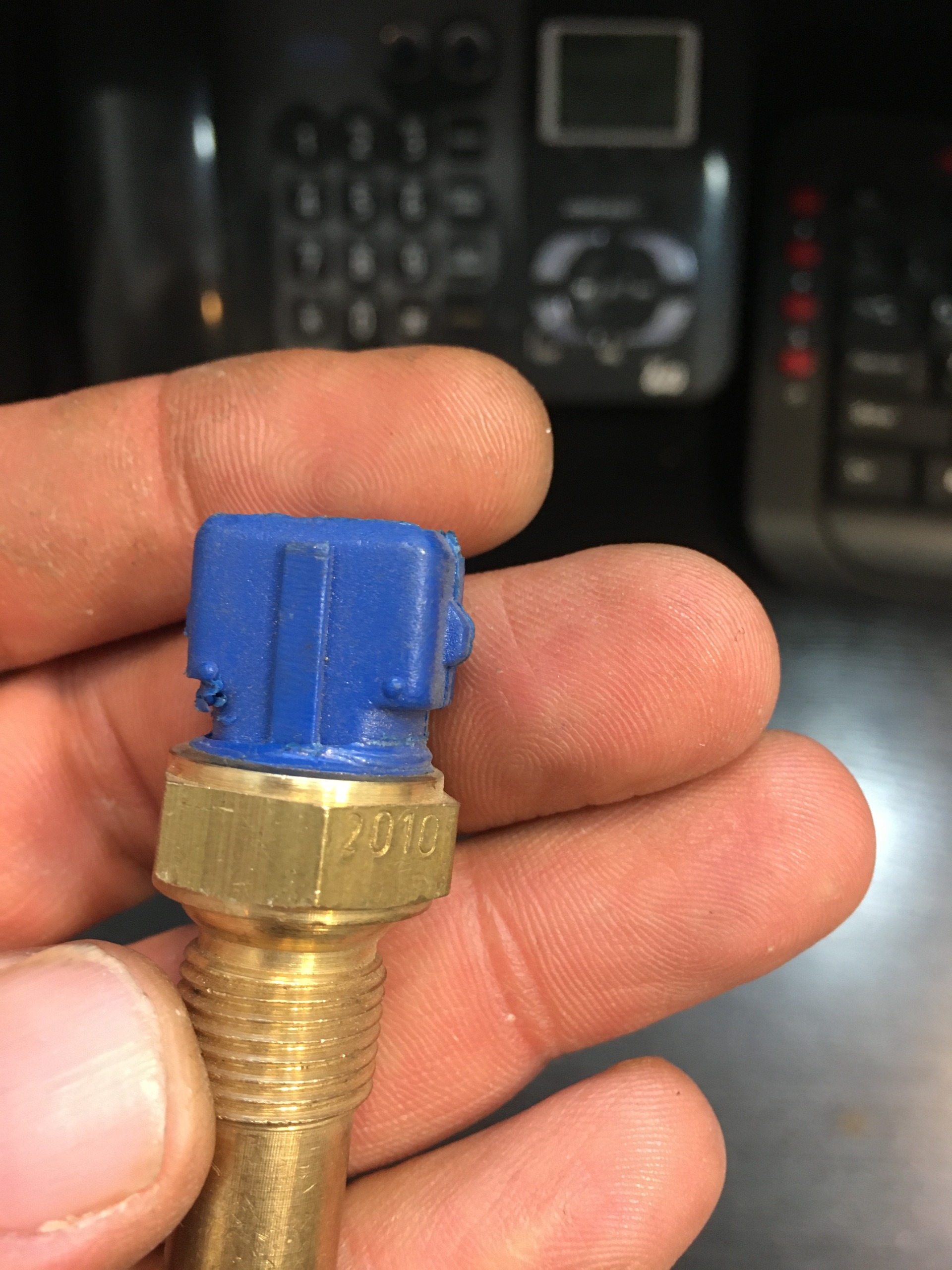 فشنگی آب زانتیا آبی