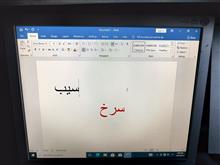کیس