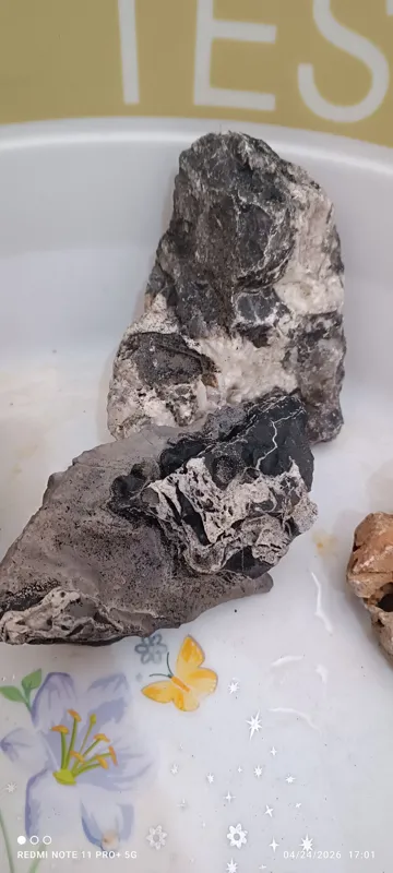 چوب آبنوس و صخره