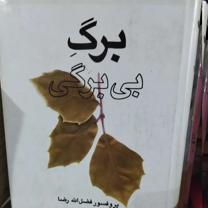 برگ بی برگی