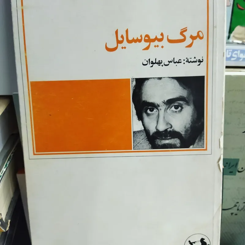 مرگ بی وسایل