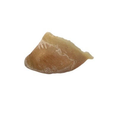 تشویقی سم گاو مخصوص پت - 40 گرم