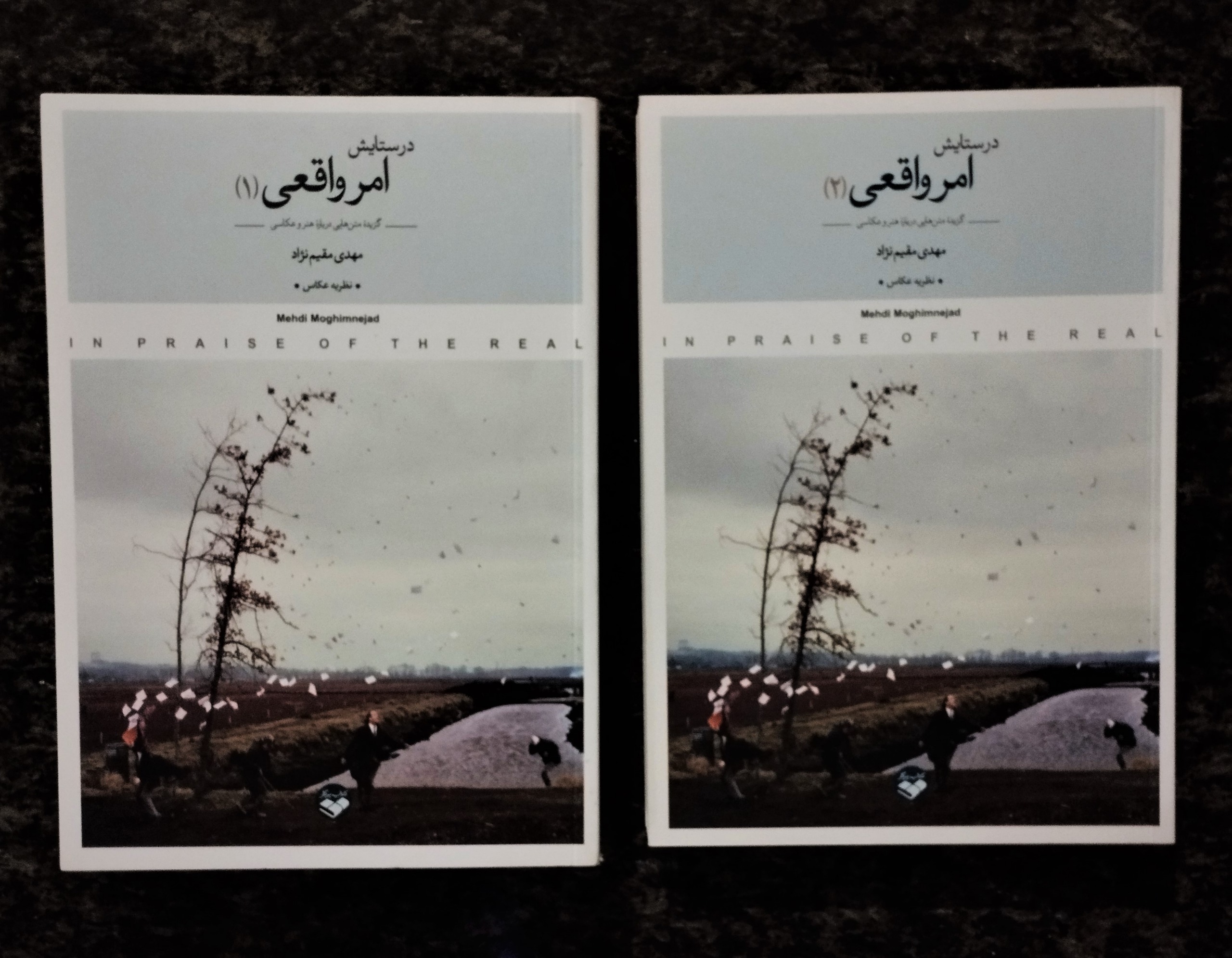 در ستایش امر واقعی (دو جلدی) مهدی مقیم نژاد