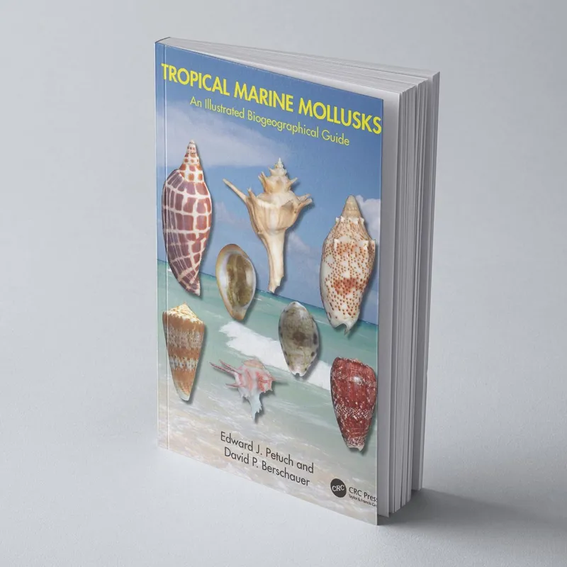 Tropical Marine Mollusks
