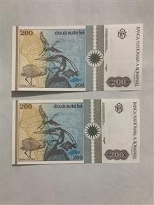 جفت
