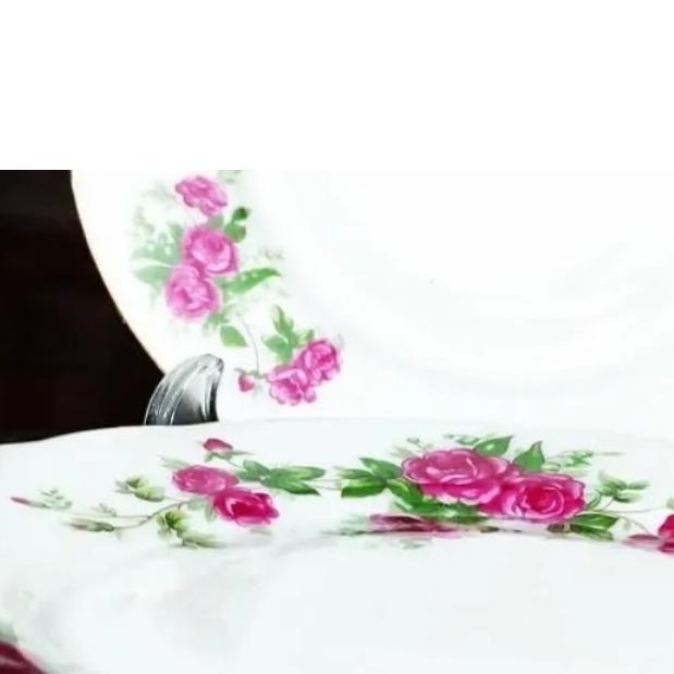 بشقاب وزیر د