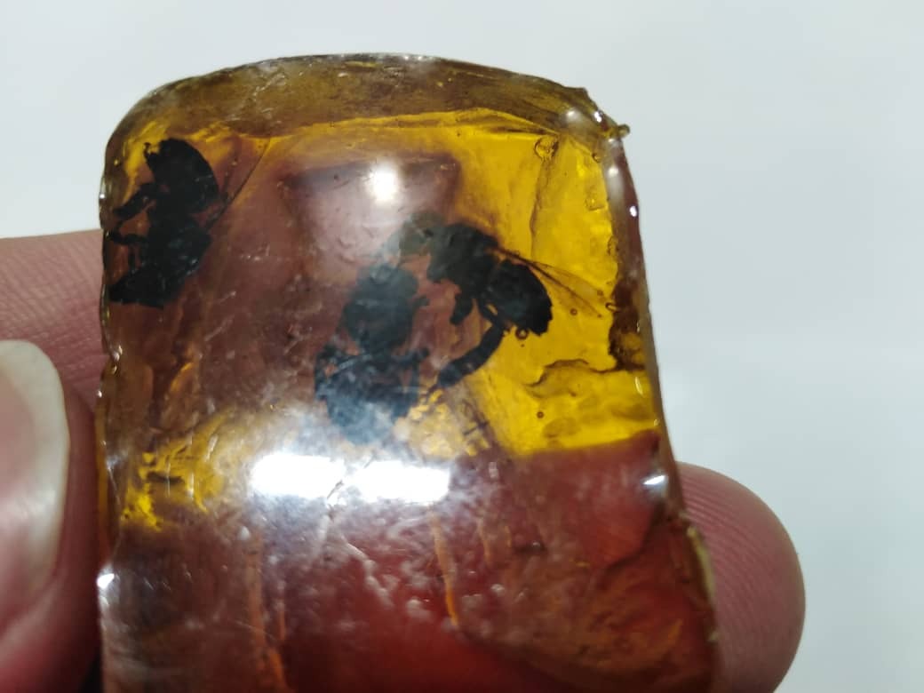 کهربای طبیعی مهماندار