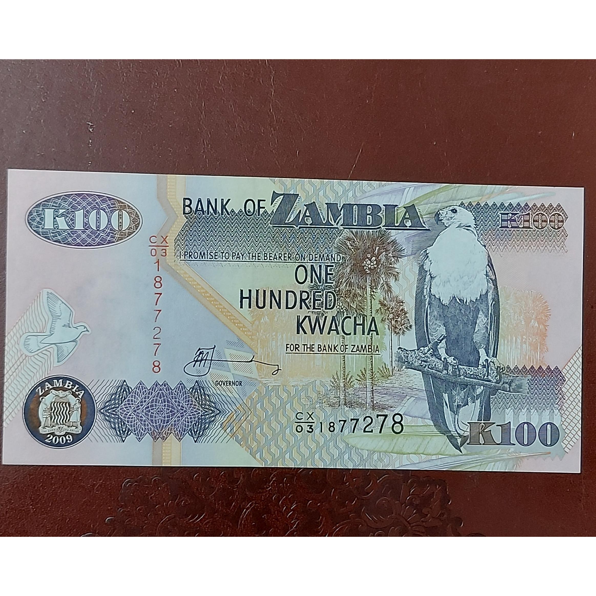 اسکناس 100کواچا زامبیا