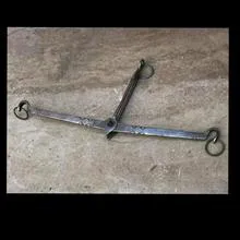 شاهین