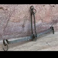 شاهین