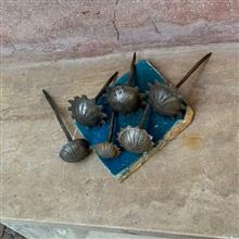 انواع