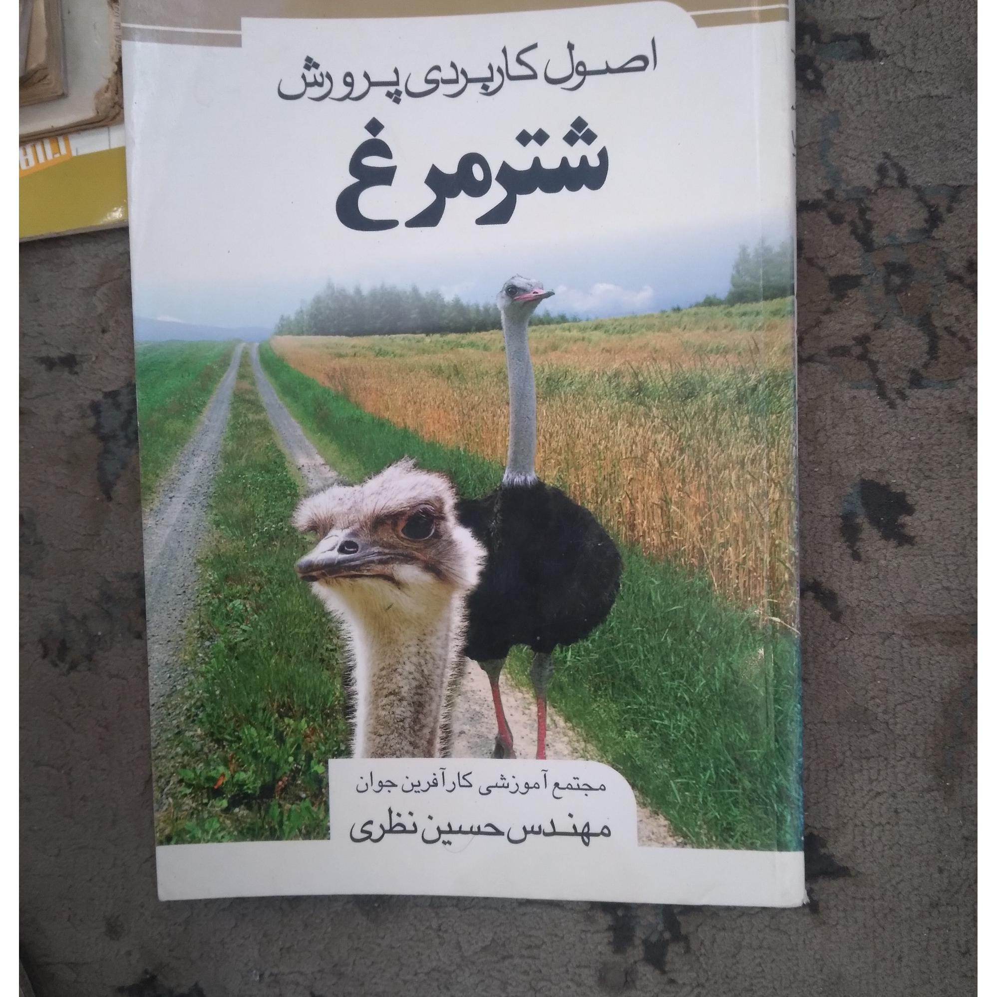 کتاب 00 0