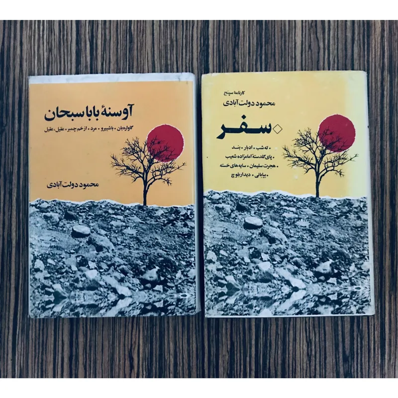 کتاب دو جلدی کارنامه سپنج دولت آبادی(توضیحات)