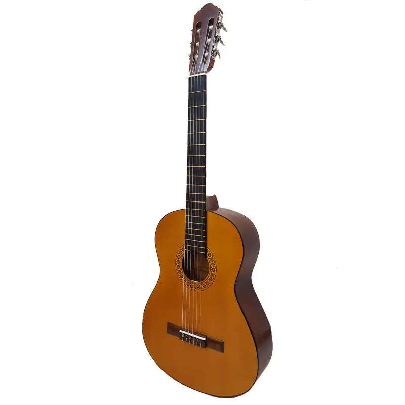 گیتار C40 با کاور ضمانت 1 ساله