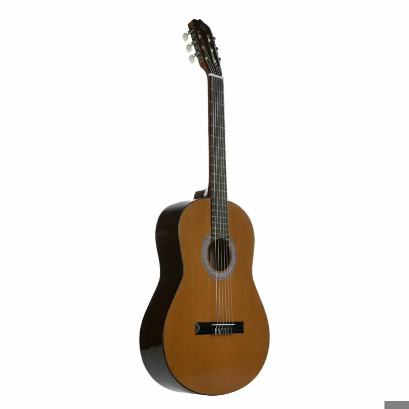 گیتار پارسی همراه کاور و ضمانت 1 ساله