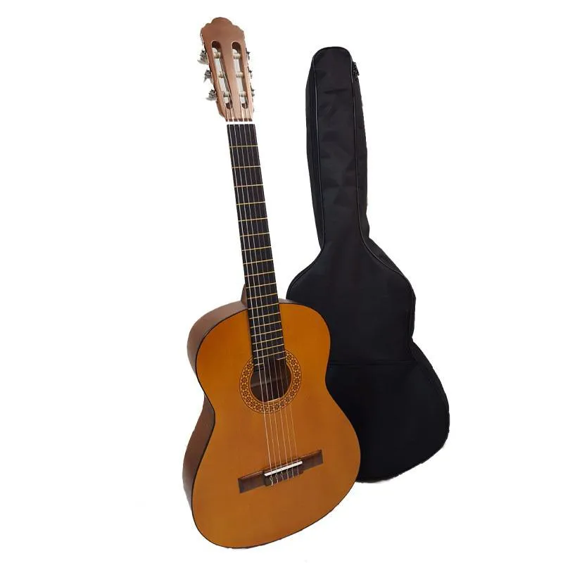 گیتار C40 با کاور
