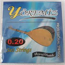 سیم