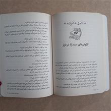 سیندرلا