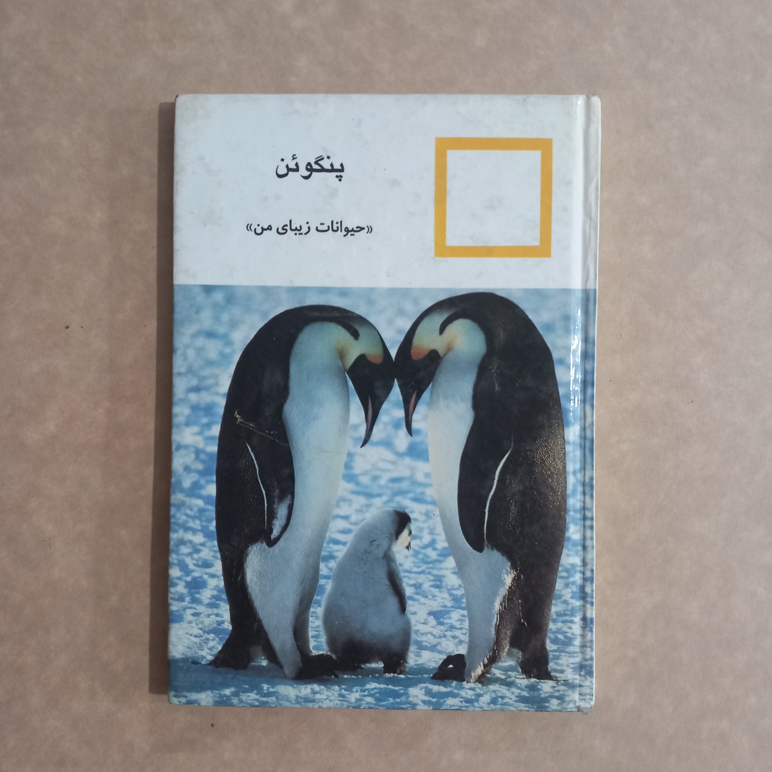 پنگوئن (حیوانات زیبای من)