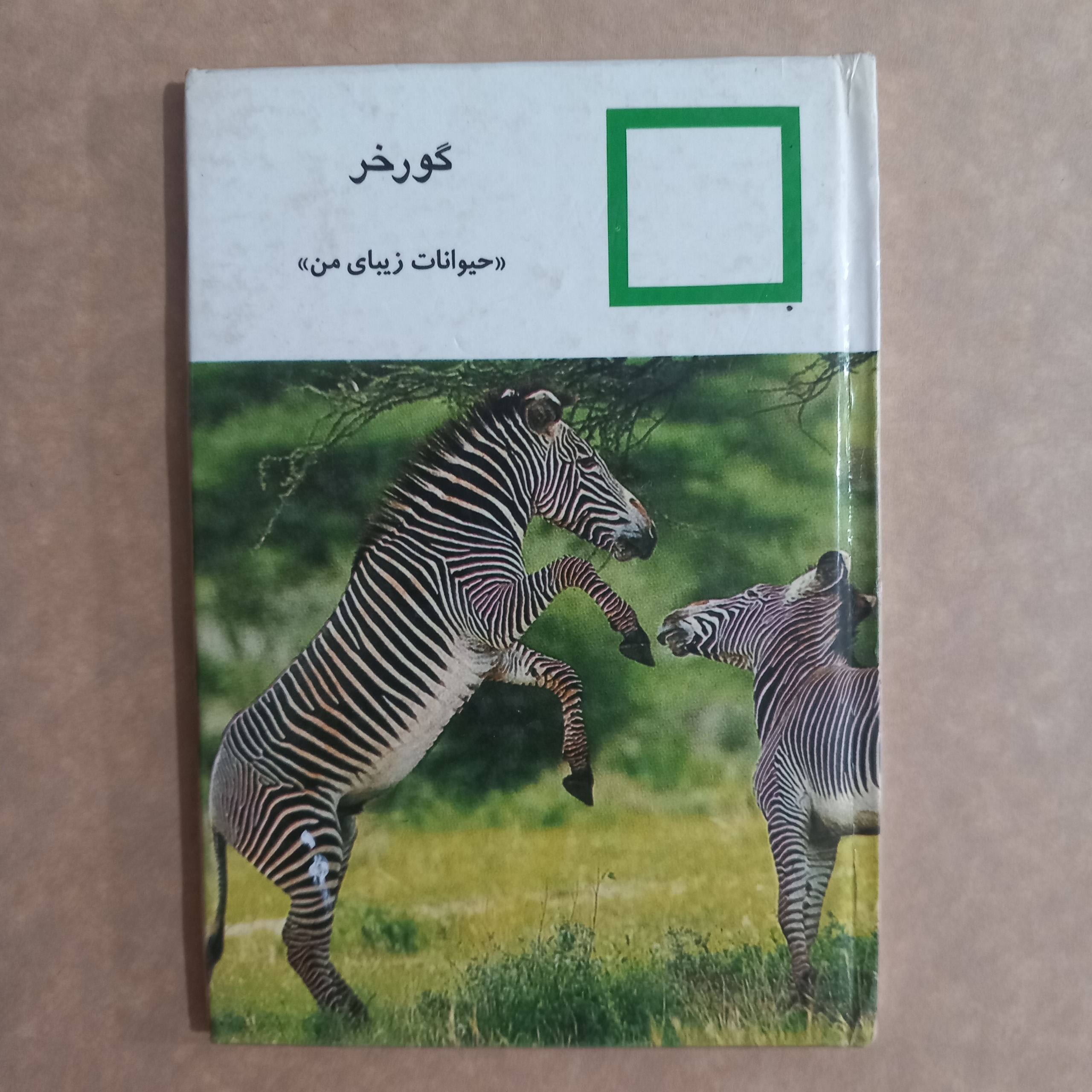 گورخر (حیوانات زیبای من)