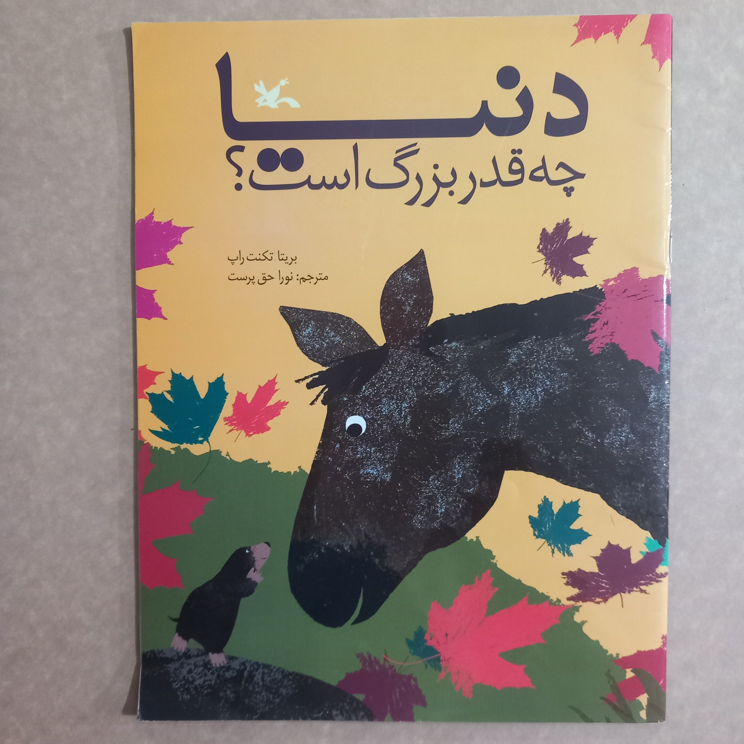 دنیا چقدر بزرگ است؟