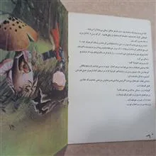 کلاه