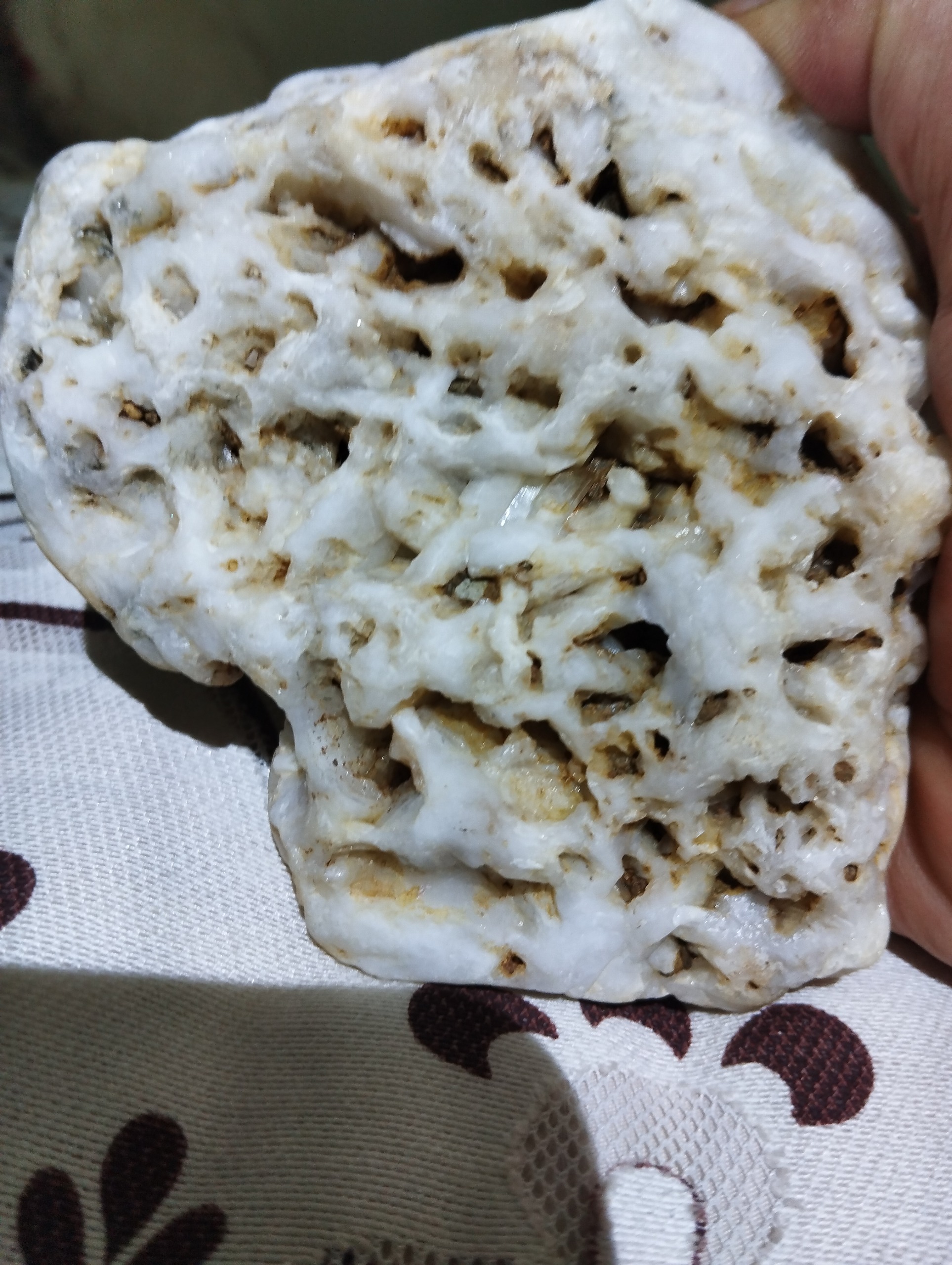 راف کواترز رگه دار وسفید بزرگ