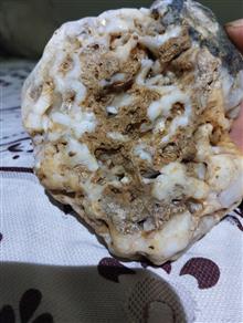 راف