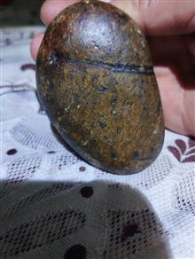 کلکسیونی