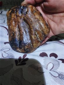 بسیارزیبا