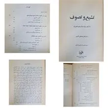 تشیع