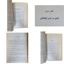 تشیع