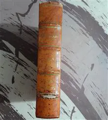 حقوق