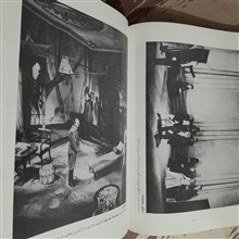 گزیده