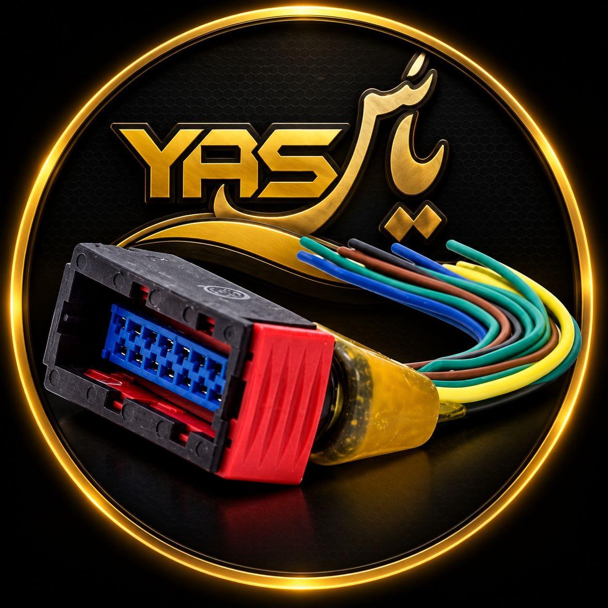 سوکت رله دوبل و یونیت فن پژو405/سمند/پارس