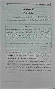 راهنمای