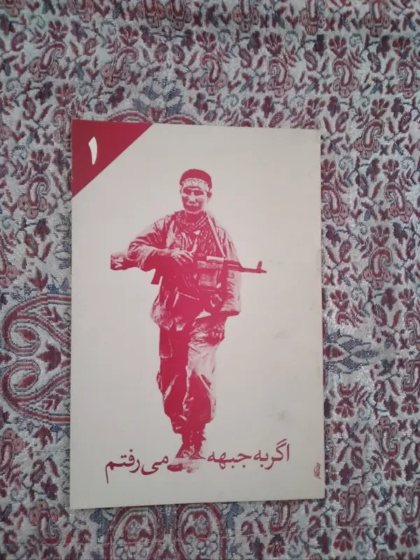 کتاب اگر به جبهه میرفتم