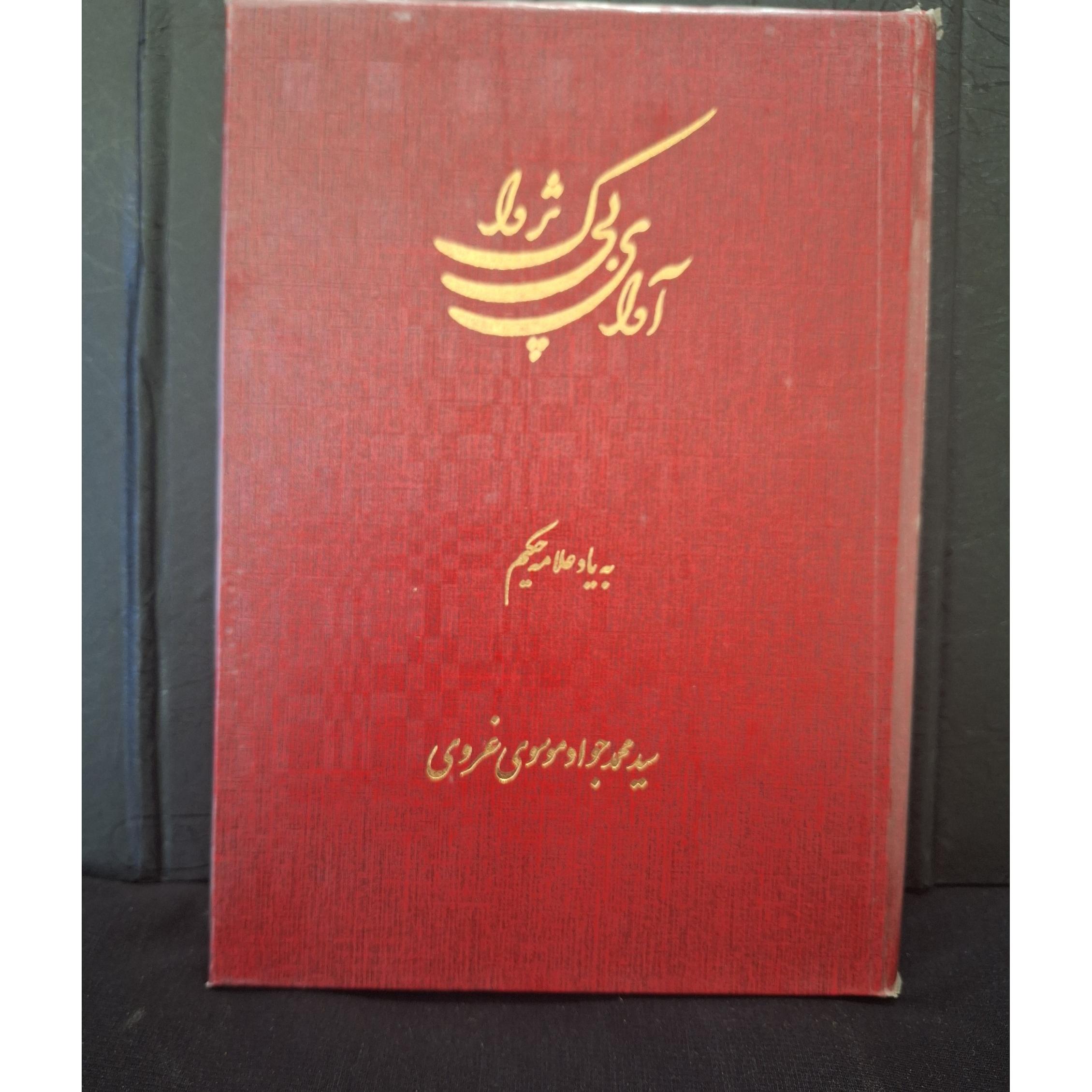 آوای بی پژواک، سید محمد جواد موسوی غروی