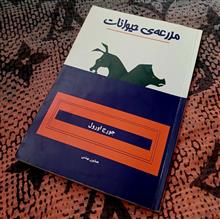 مزرعه