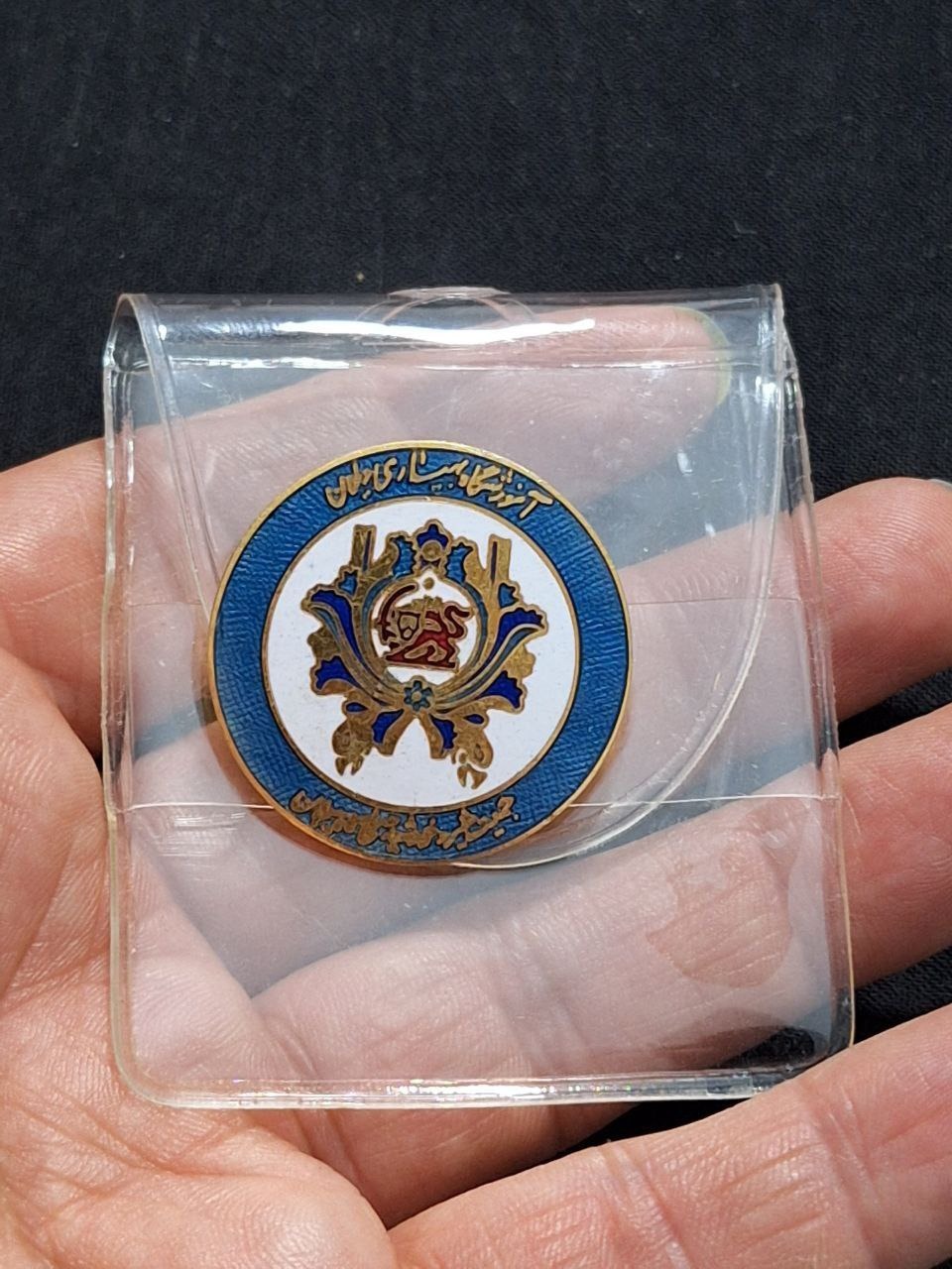 نشان سوزنی آموزشگاه بهیاری دیلمان شیر خورشید