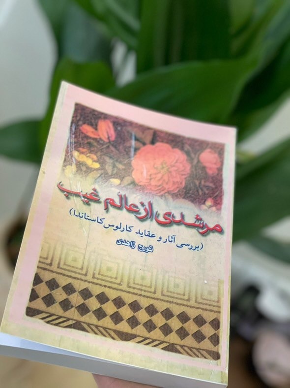 مرشدی از عالم غیب